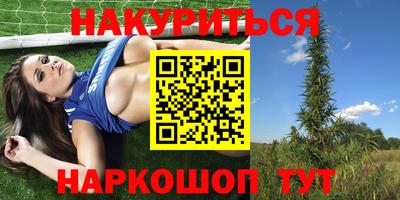 apvp Пугачёв