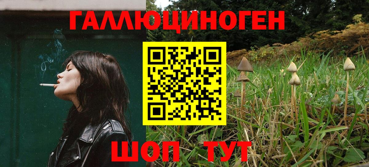 Псилоцибиновые грибы GOLDEN TEACHER  Вход с VPN  Россия 
